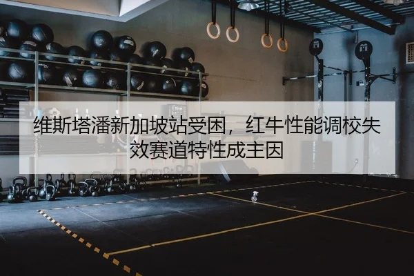 wei-si-ta-pan-xin-jia-po-zhan-shou-kun-hong-niu-xing-neng-diao-xiao-shi-xiao-sai-dao-te-xing-cheng-zhu-yin-2-218.jpg